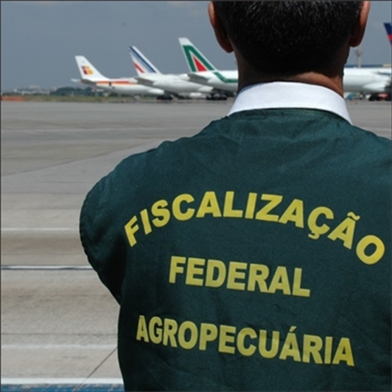 Novo MAPA Agrônomo - Preparatório Para Concurso 2023 - com mentoria