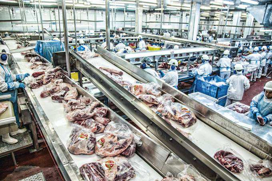 Capacitação em Embalagem e Rótulos de Alimentos de Origem Animal