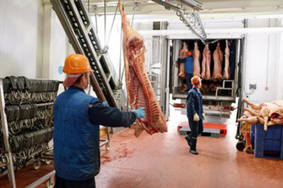 Capacitação em Logística de Alimentos de Origem Animal