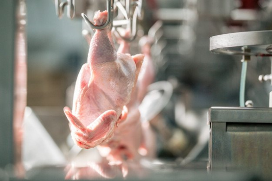 Capacitação em Tecnologia, Higiene, Inspeção e Processamento de Aves